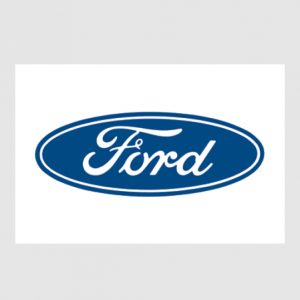 Ford Corporate Flag